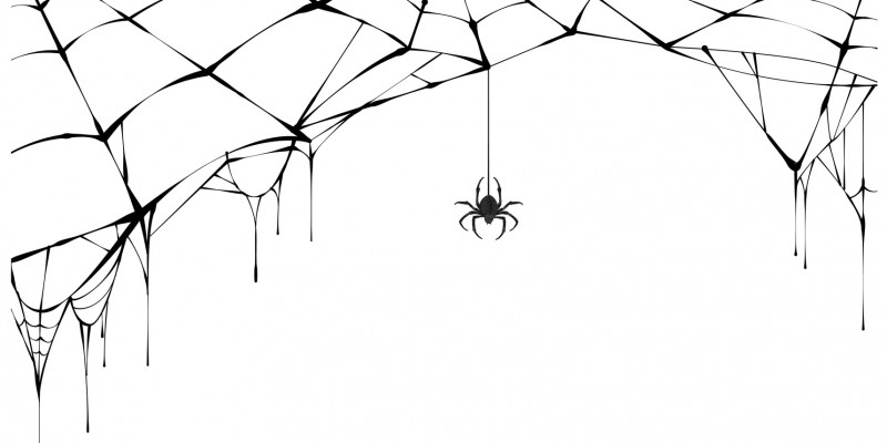 Θεραπεία φοβίας αράχνης - Έτσι απλά