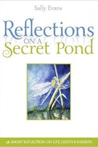 Reflections on a Secret Pond