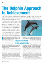 Der Dolphin-Ansatz zur Erreichung von Zielen