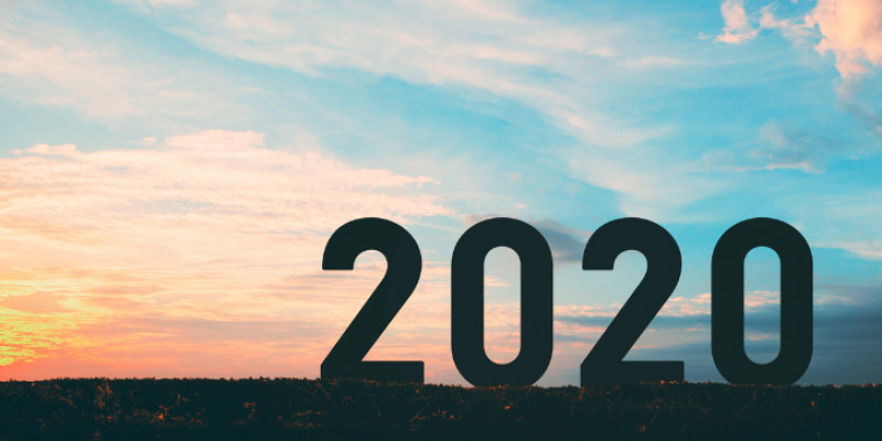 Godišnji izveštaj ANLP za 2020.