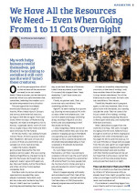 We Have All the Resources We Need – Even When Going From 1 to 11 Cats Overnight