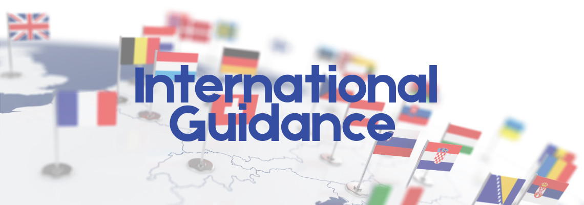 Orientación internacional